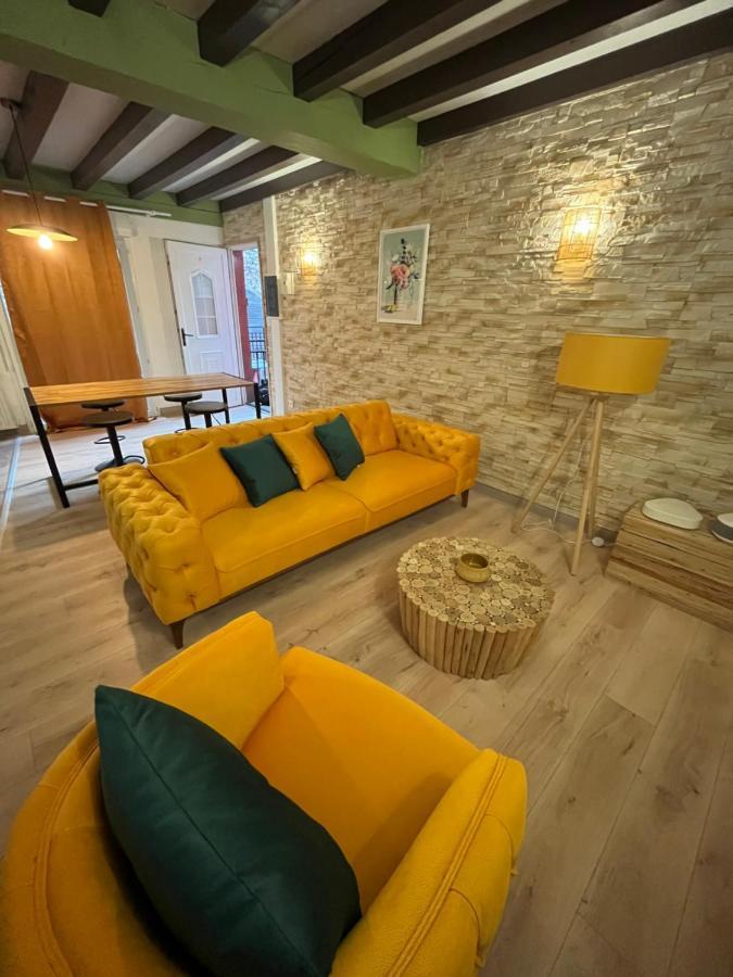 Appart Hotel Le 8 Le Duplex Mâcon Екстериор снимка